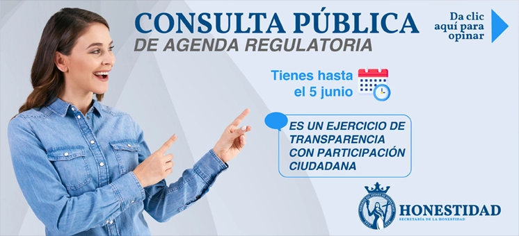 ConsultaPublicaMay25