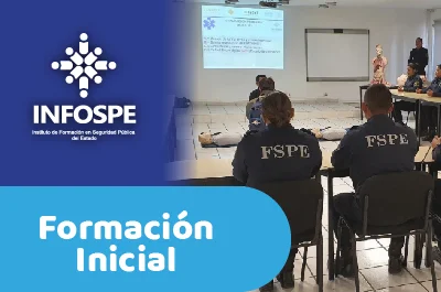 Formación Inicial